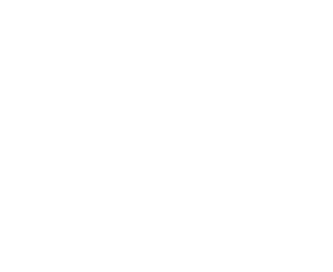 FENICE SACAI